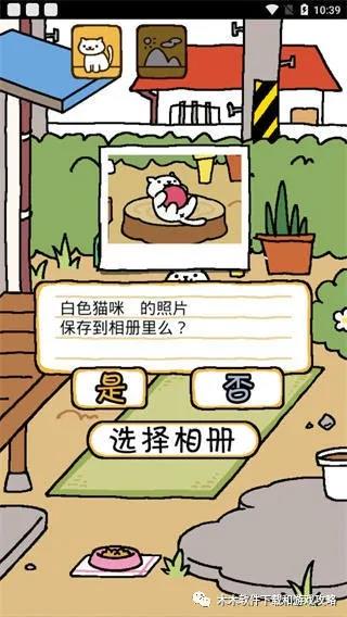 国外资讯