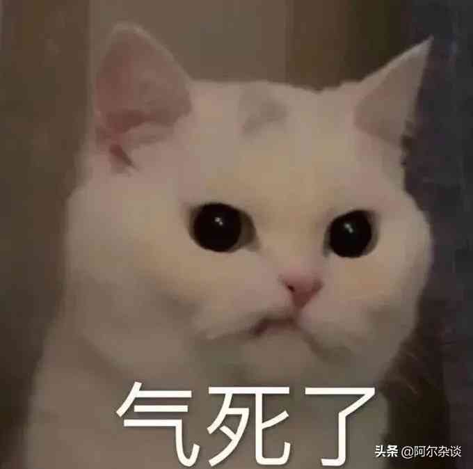 云顶之弈:梦回S4重秘阿狸?S6.5推荐阵容,成型容易,上限极高